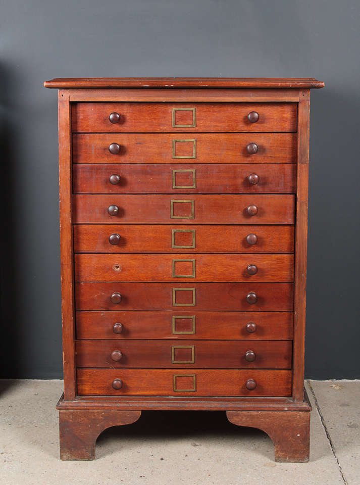British Colonial 19th Century English Collectors Cabinet For Sale