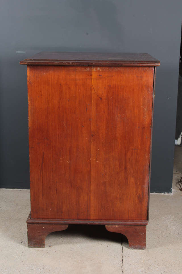 19th Century English Collectors Cabinet For Sale 3