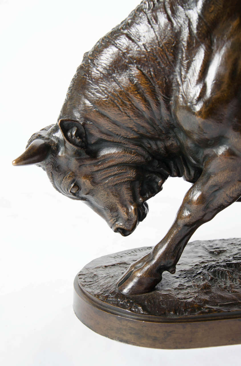Bronze Bull by Isidore Bonheur 1