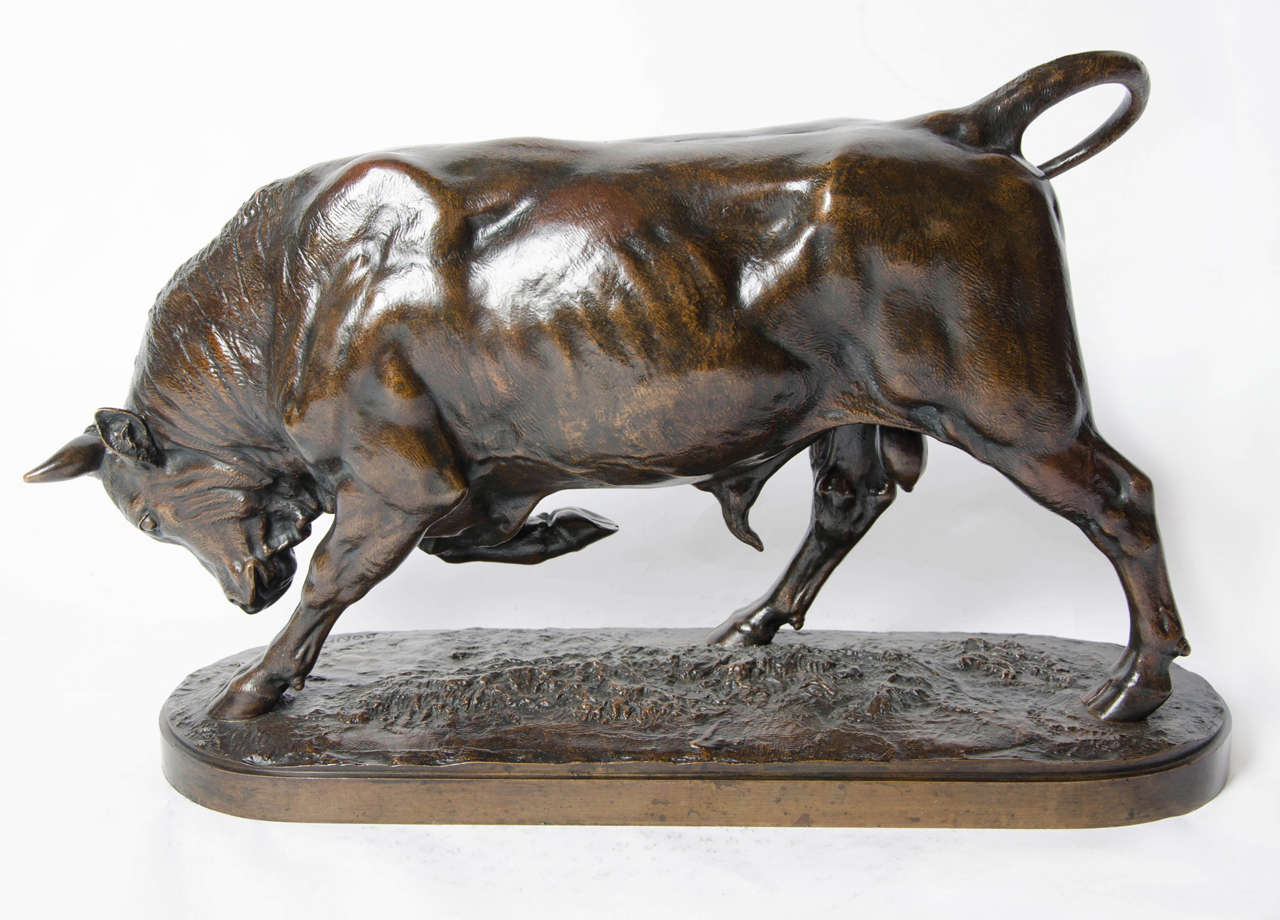 Bronze Bull by Isidore Bonheur 4