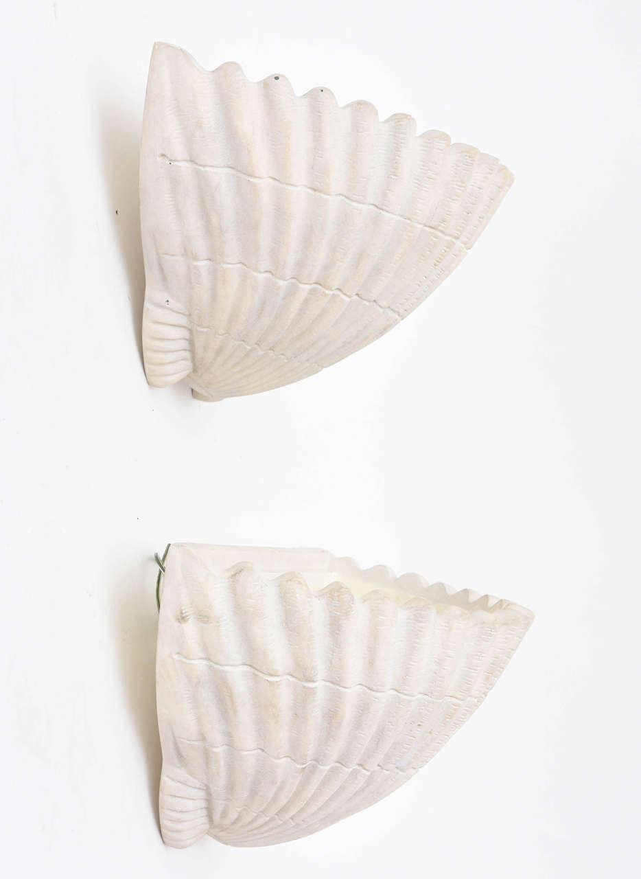 Plaster Sirmos Shell Form Sconces