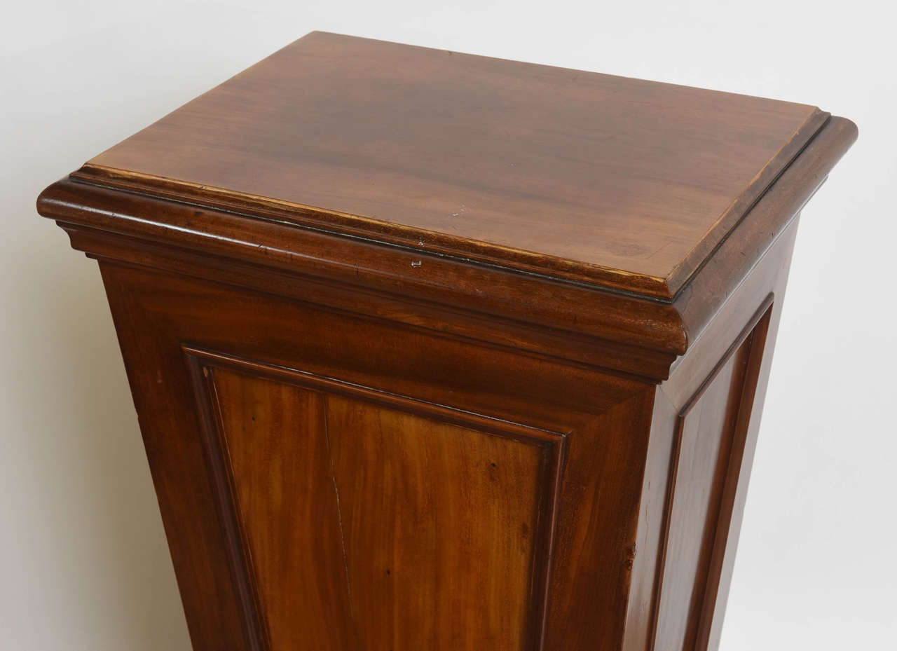 19th Century Pair of Italian Neoclassic Faux Bois Painted Pedestals For Sale