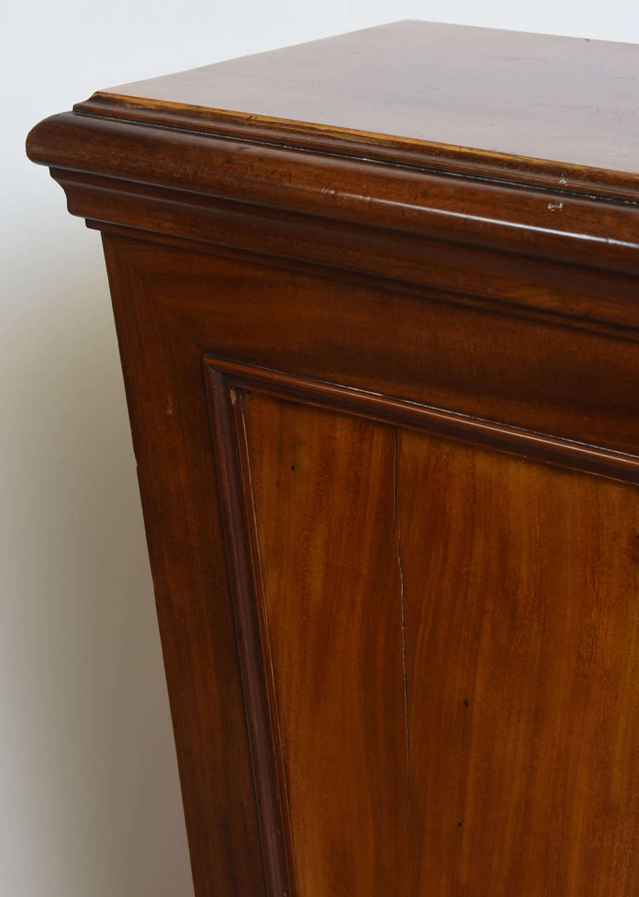 Pair of Italian Neoclassic Faux Bois Painted Pedestals For Sale 3