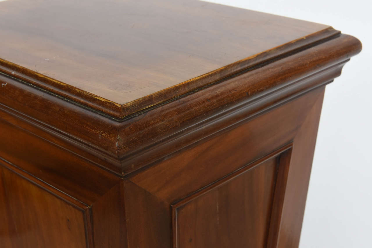 Pair of Italian Neoclassic Faux Bois Painted Pedestals For Sale 5