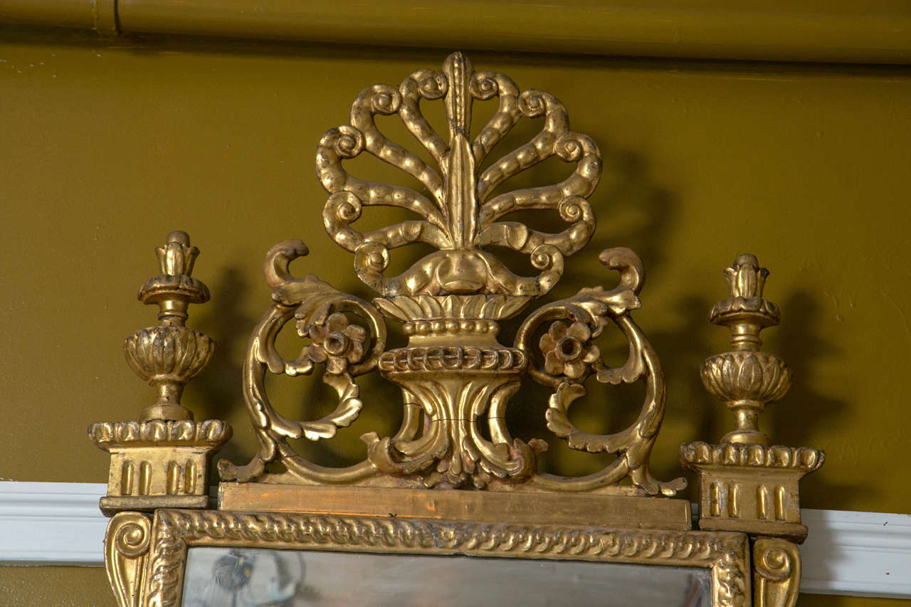 Baroque Pair of 18th Century Carved Gilt Mirrors with Crest