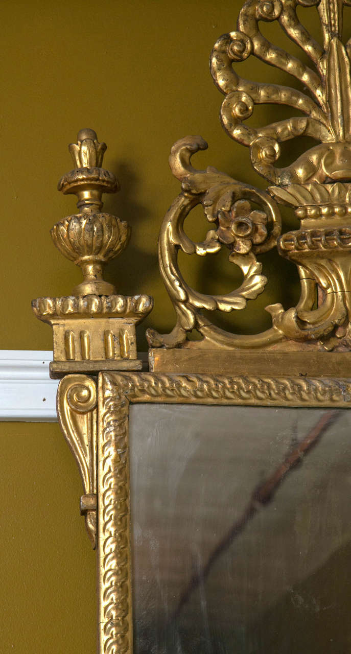 Pair of 18th Century Carved Gilt Mirrors with Crest 1