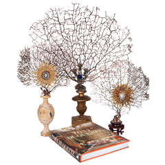 Three Tony Duquette Jeweled Sea Fan Objects and Book