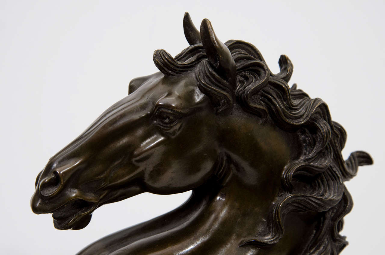 bronze sculpture horse