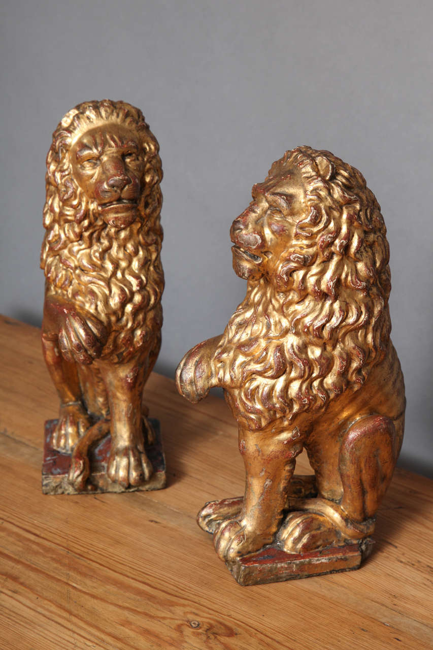 Charming and decorative pair of early 19th Century Italian carved and gilt lions, the forms of carved pine retaining original water gilt surface, probably originally of architectural use.