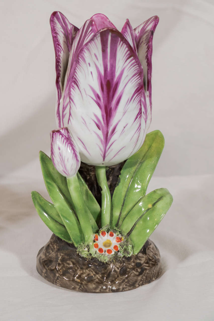 Provenance: The collection of Katherine Mellon.
An exceptional pair of large, purple and white, porcelain tulips each with a smaller tulip bud and green leaves on a brown base. 
These are unusually large and beautiful examples of the early 19th