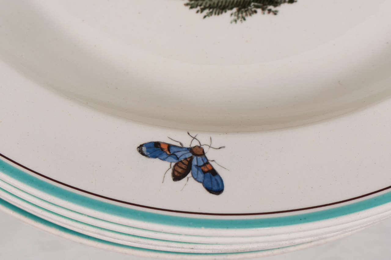 19th Century Set of Wedgwood Creamware Dinner Plates Showing Birds