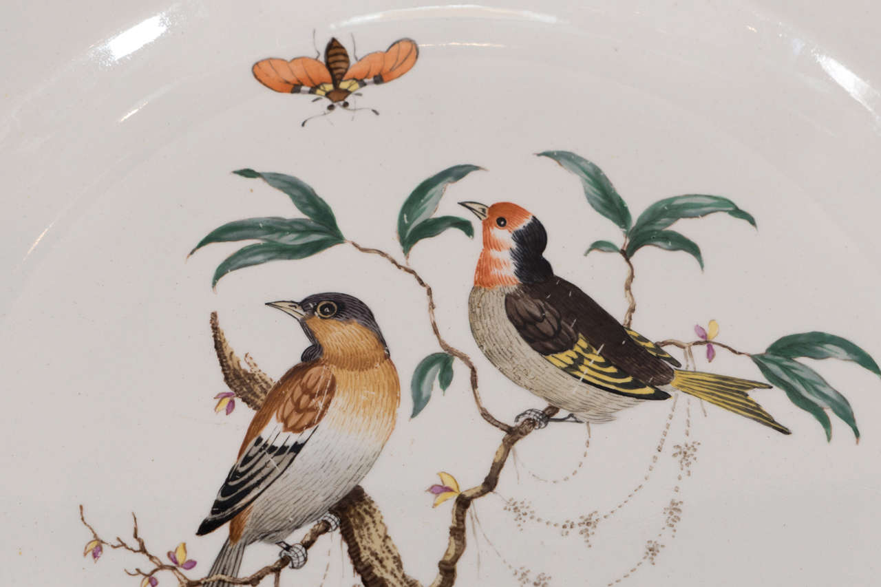 A set of Wedgwood Creamware dinner plates each plate decorated with a unique scene showing a pair of song birds resting on a branch and surrounded by butterflies, lady bugs and dragonflies. A turquoise band along the edge encircles the scene.The