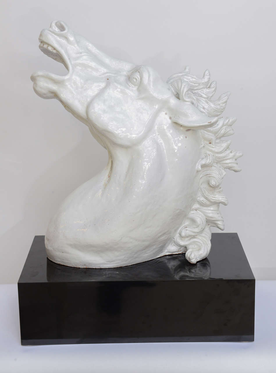 Italian, White Glazed, Terra Cotta Large Horse Head Sculpture 1