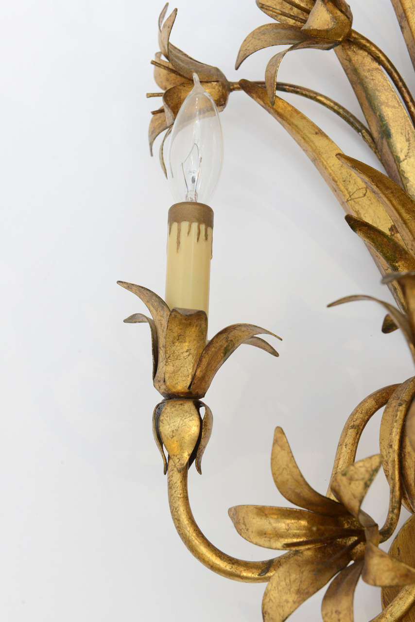 Mid-20th Century Pair Gilded Metal, Floral Wall Sconces