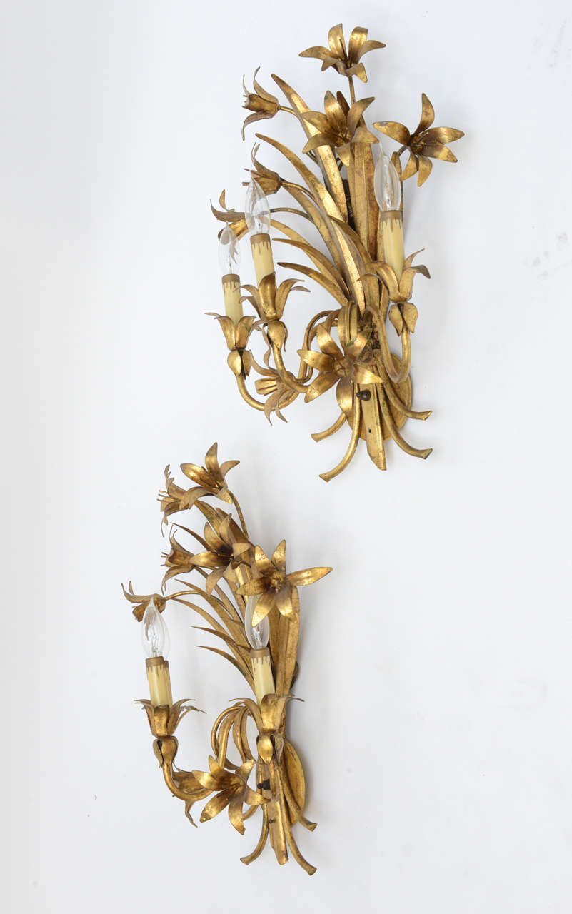 Pair Gilded Metal, Floral Wall Sconces at 1stdibs