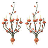 Five Light Wall Sconces