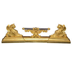 19th Century Empire-Consulat Style Fireplace Front Decoration