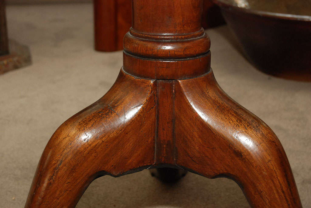 Queen Anne Style Walnut Tilt Top Table 3