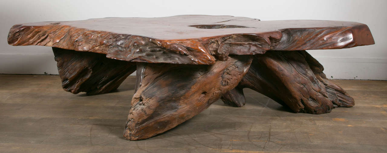 A large and impressive coffee table with a thick live edge slab top on an organic shape base. 
Walnut with a rich patina.
France, circa 1970.