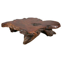 Organic Shape Walnut Coffee Table