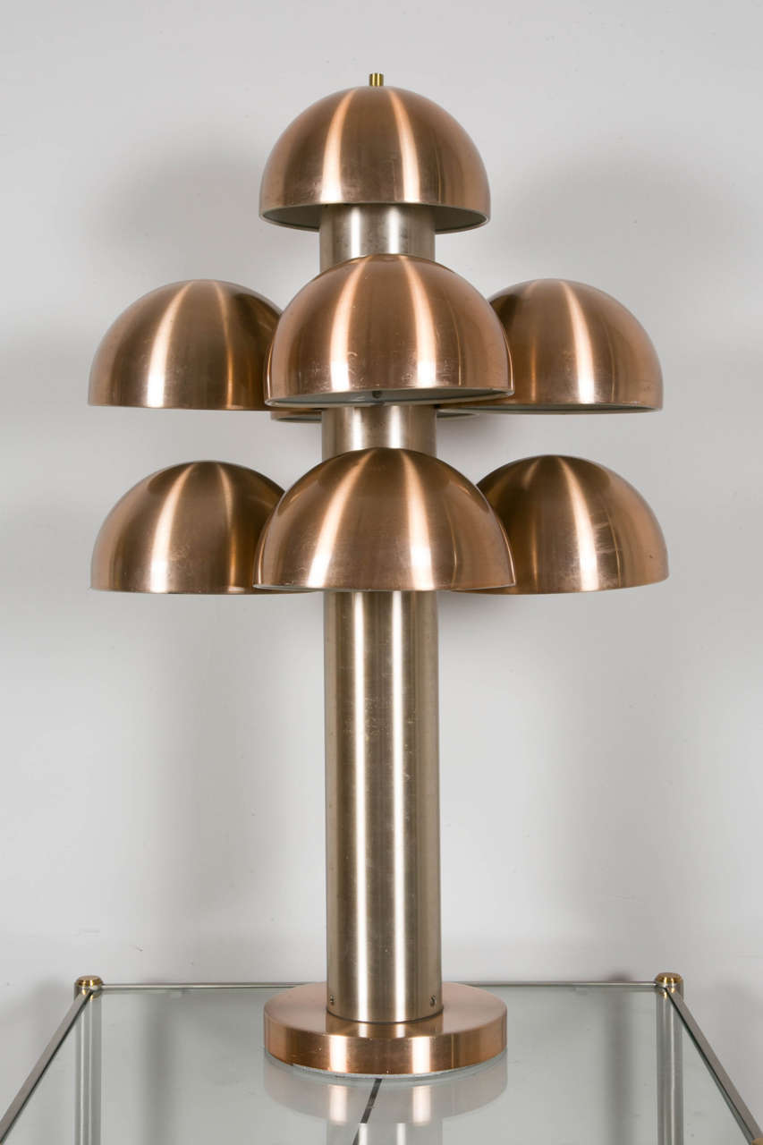Rare "Cantharelle" Lamp by Raak