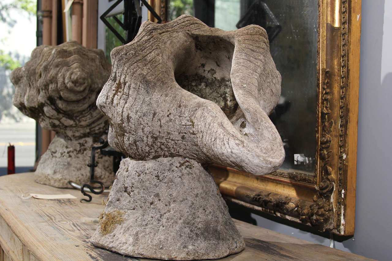 Pair of Shell Sculptures at 1stDibs