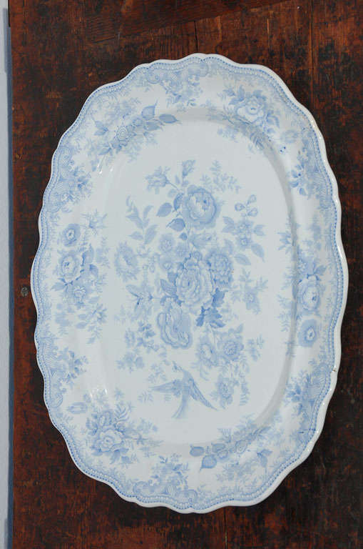 English 19th Century Blue & White  Asiatic Pheasant Platter