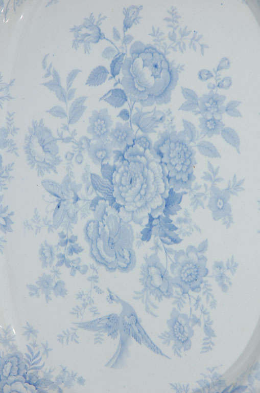 19th Century Blue & White  Asiatic Pheasant Platter 2