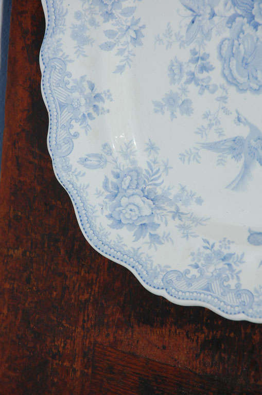 19th Century Blue & White  Asiatic Pheasant Platter 3