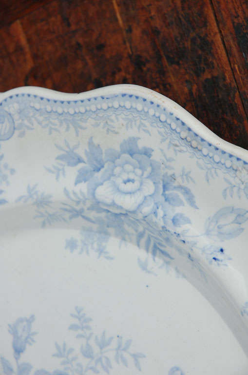 19th Century Blue & White  Asiatic Pheasant Platter 4