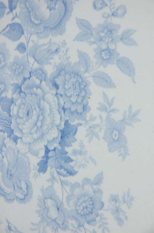 19th Century Blue & White  Asiatic Pheasant Platter 5