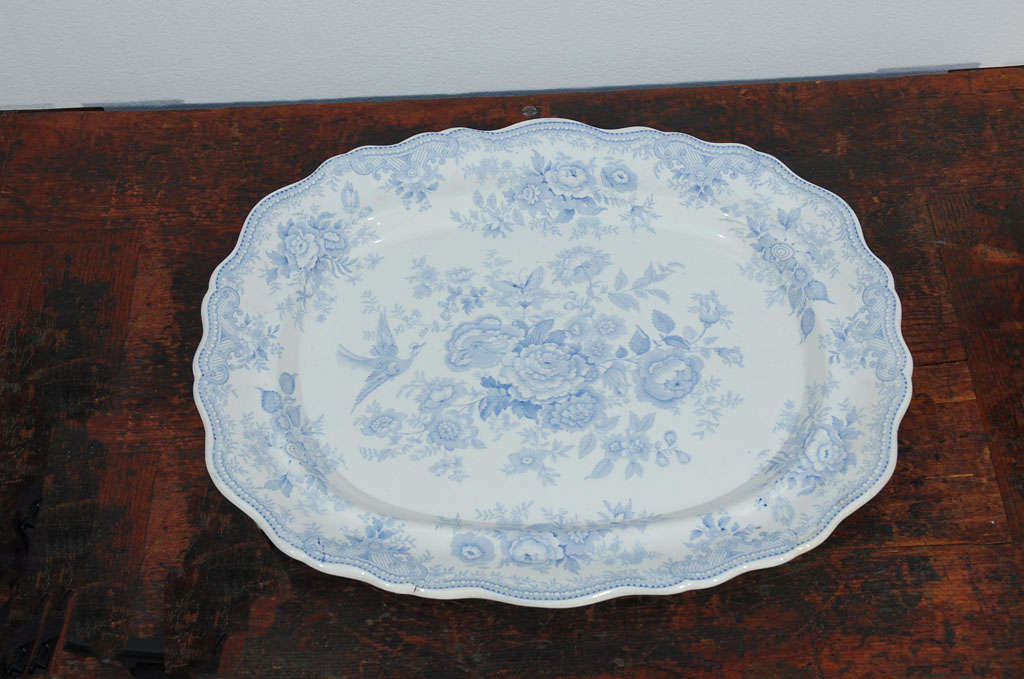 Asiatic Pheasants platter by Beech & Hancock in Tunstall, England. Light blue decoration with floral center medallion and flying pheasants. Scalloped edge.