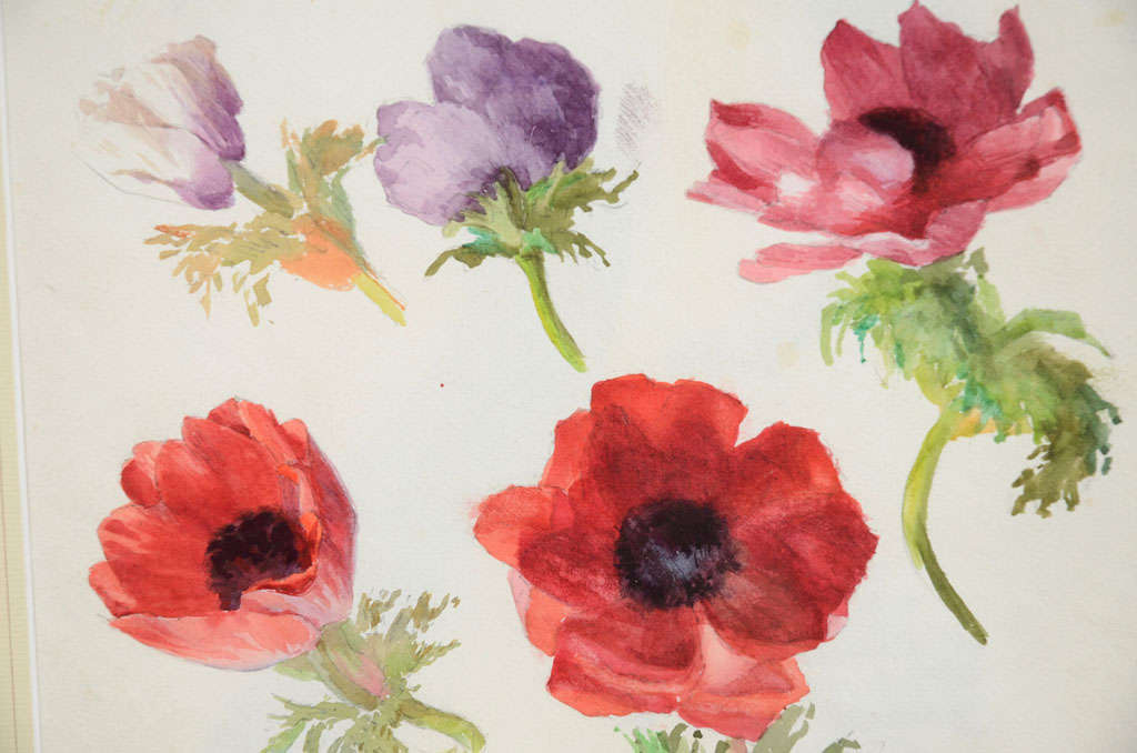 19th Century An English Botanical Watercolor