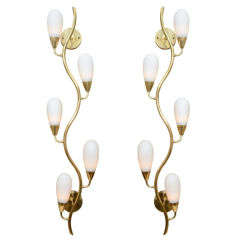 Pair of Mid Century Brass and Glass Vine Form Sconces