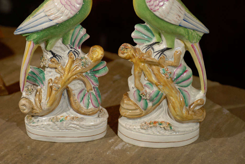 Pair of Large Staffordshire Birds 4