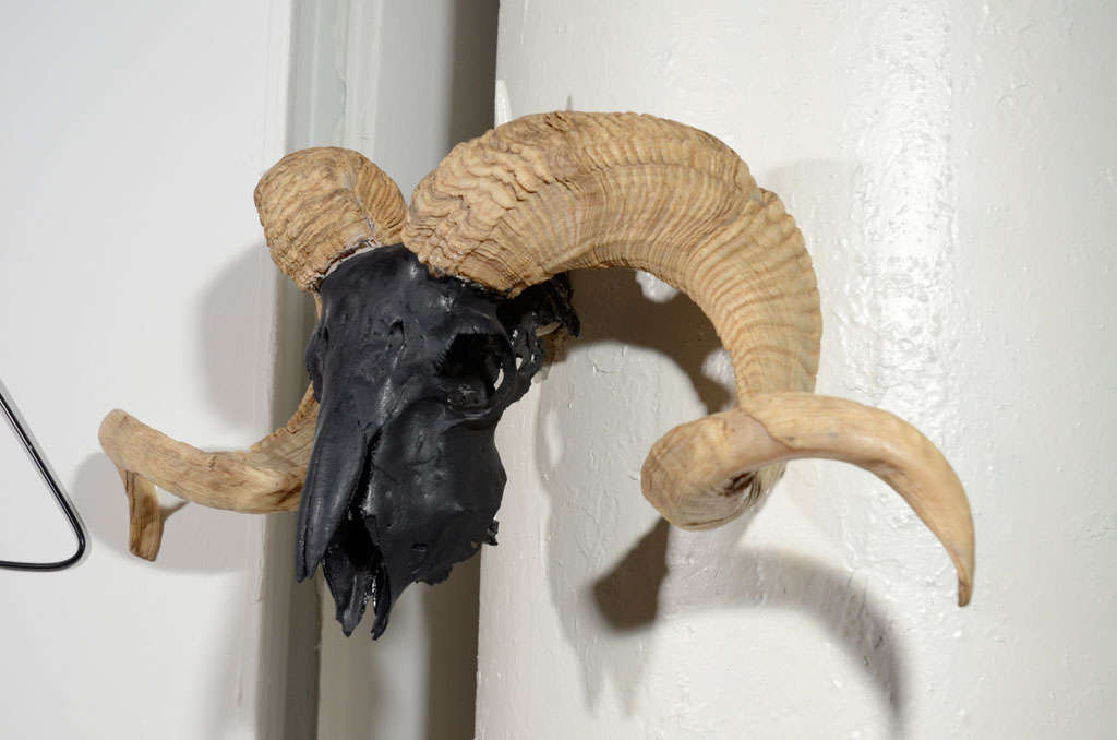 Vintage Wall Mounted Ram Skull with Horns Airbrushed in Black In Excellent Condition In Fort Lauderdale, FL