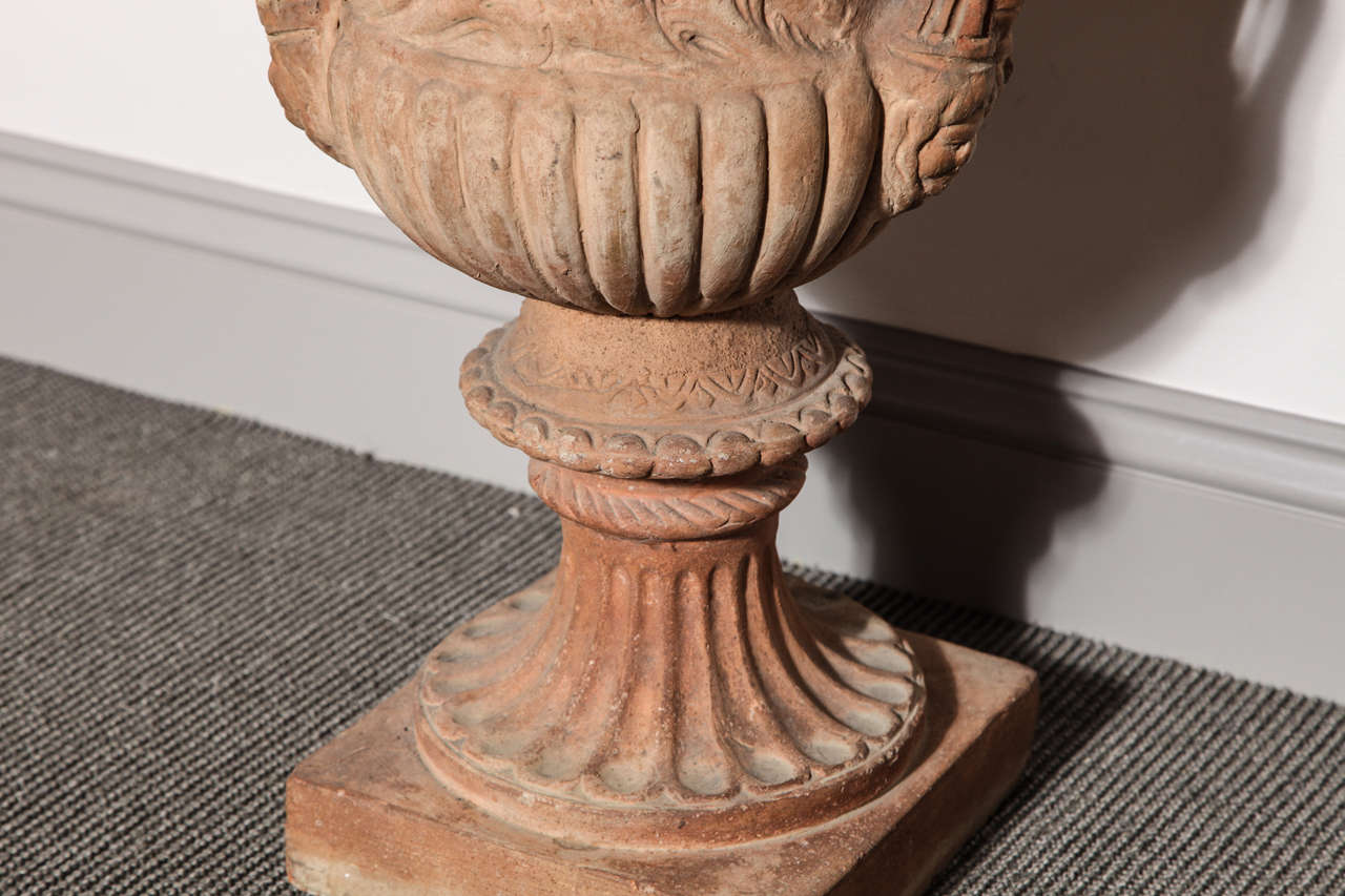 Pair of Terracotta Urns For Sale 1