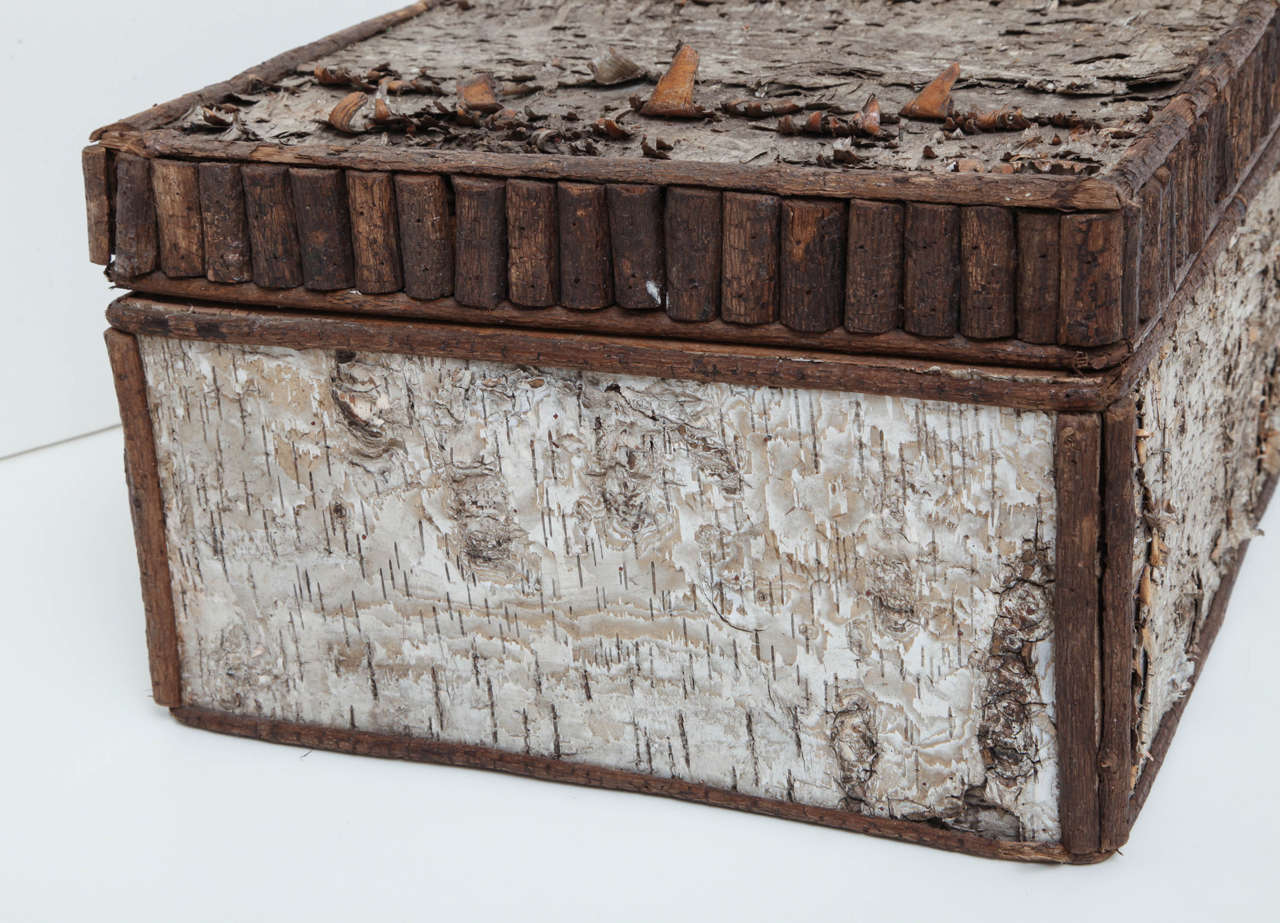 American Adirondack birch bark box at 1stDibs