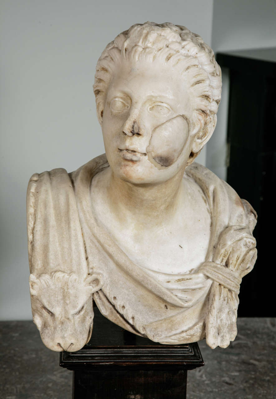 Classical Roman Marble Bust of a Young Roman