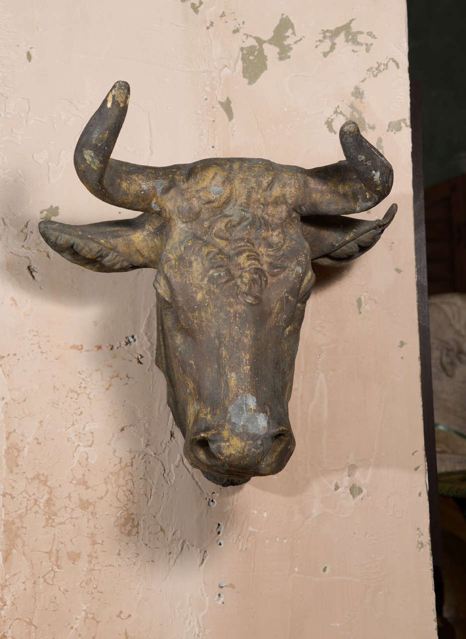 Zinc cow's head with traces of gilding.