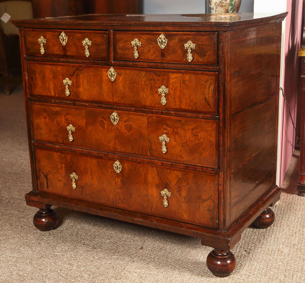 Finest example of a two over three drawer period William and Mary chest of drawers or commode. Fine walnut with oysters inlays. Appear to have either the original feet or perhaps replace very early on. In incredible fine condition having recently