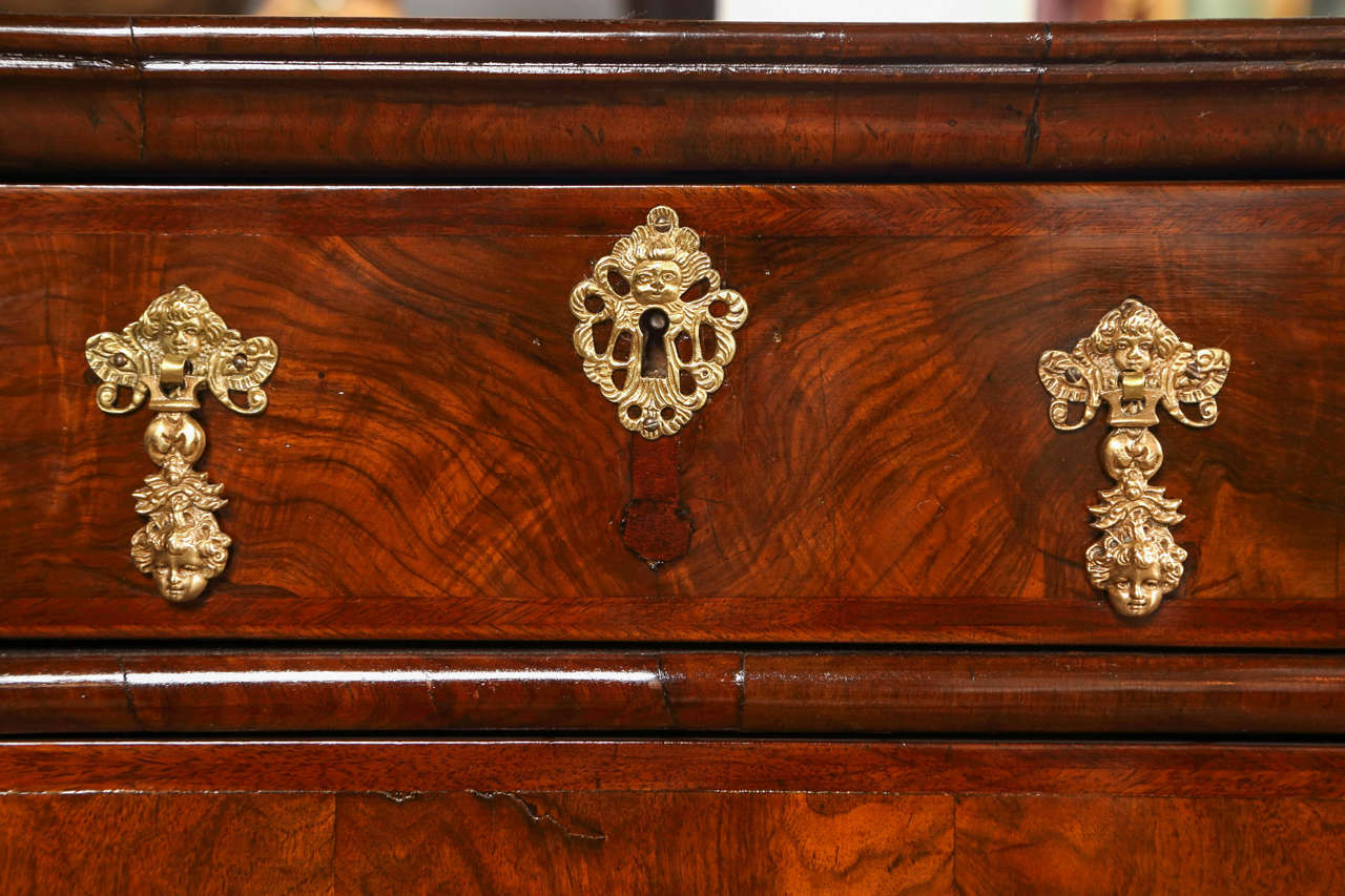 17th Century William and Mary Chest or Commode 4