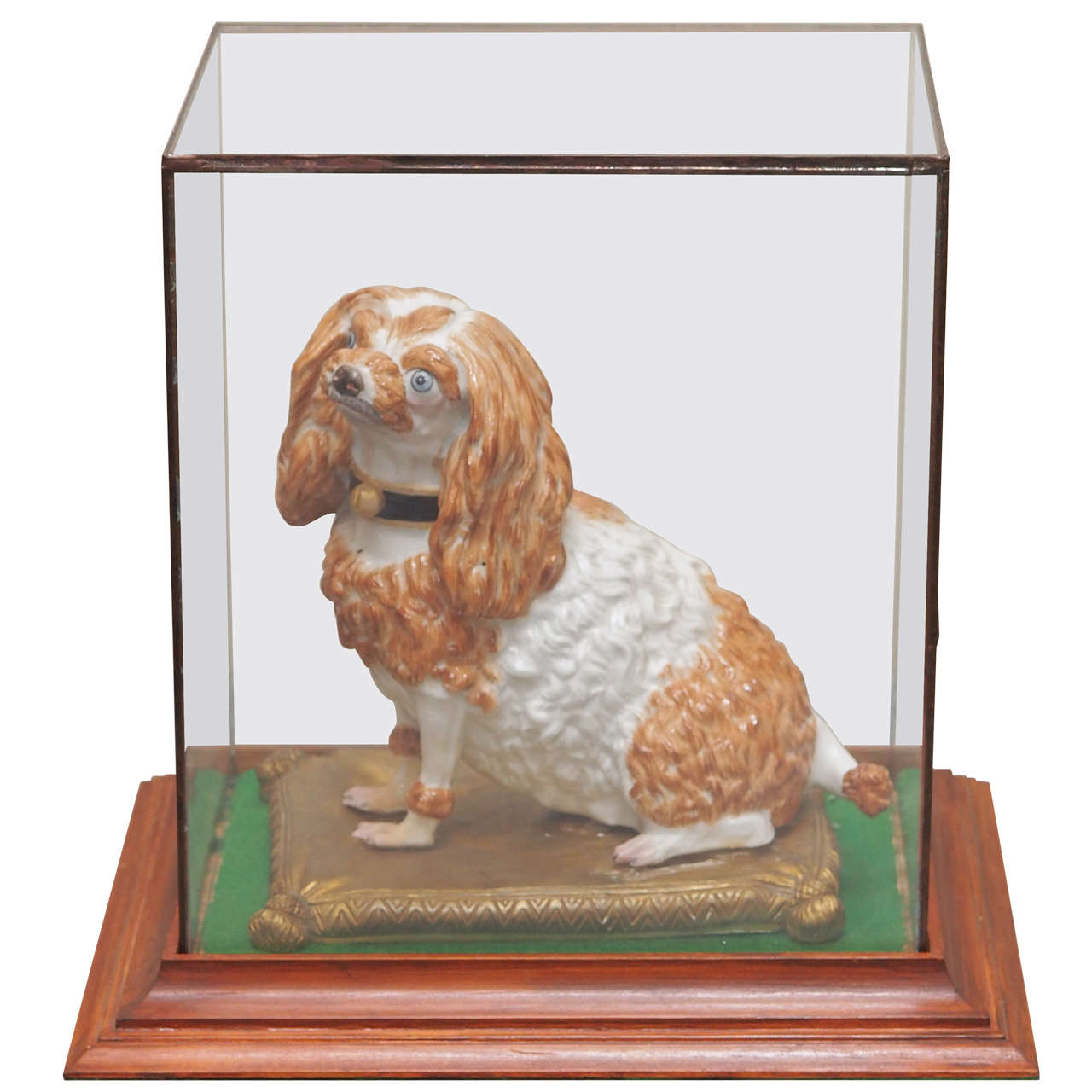  Cavalier King Charles Spaniel on Gilt Pillow in Glass Box