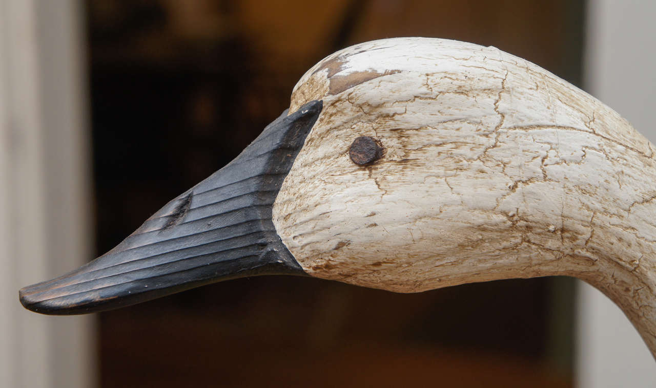 American Hand-Carved Currituck Swan