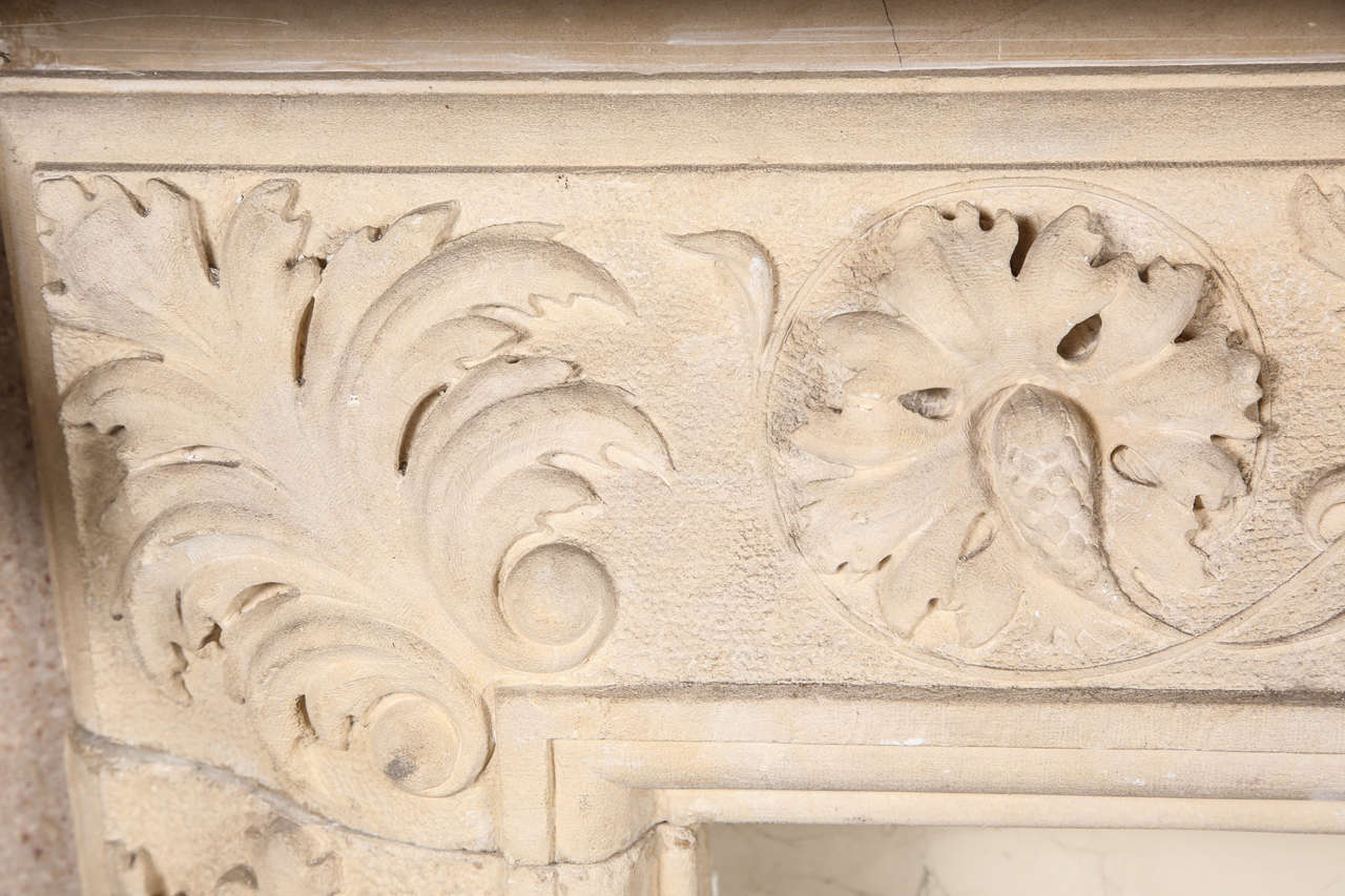 19th Century Exceptional Carved Limestone and Marble Mantel