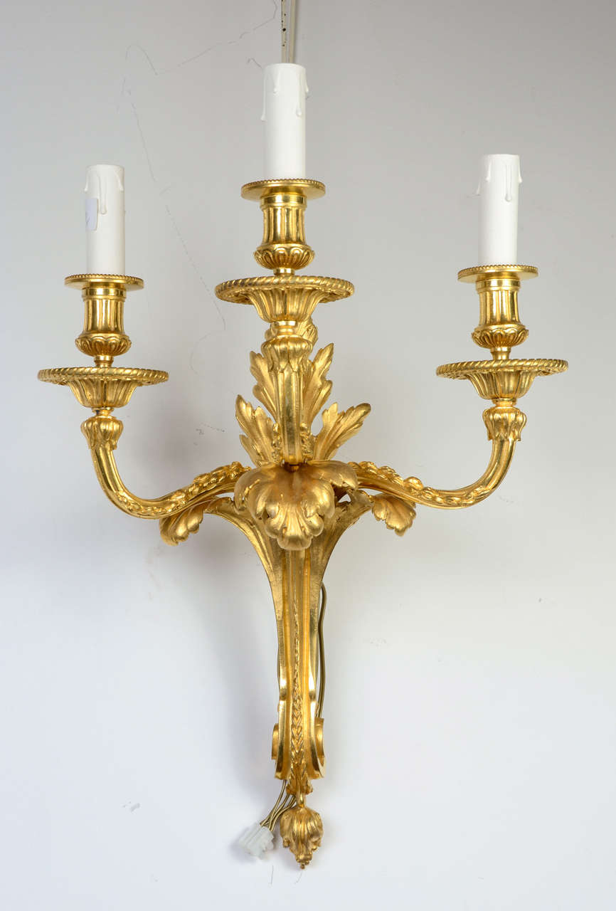 Pair of sconces Louis XV style, in gilded bronze newly regilded with real gold, three arms of lights.

We can propose an other pair, slightly similar. Same size, 3 lights.