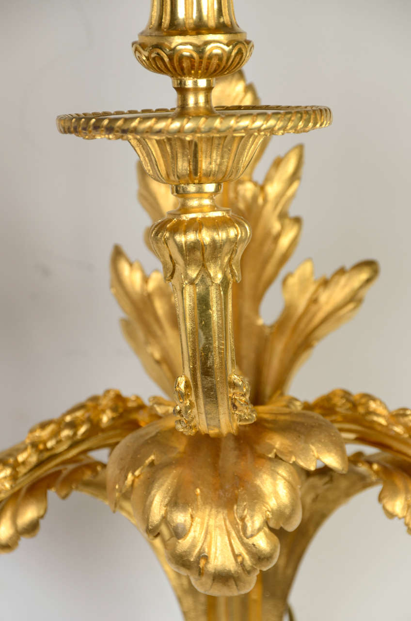 Pair of Gilded Bronze Louis XV Three-Light Sconces In Excellent Condition For Sale In Paris, FR