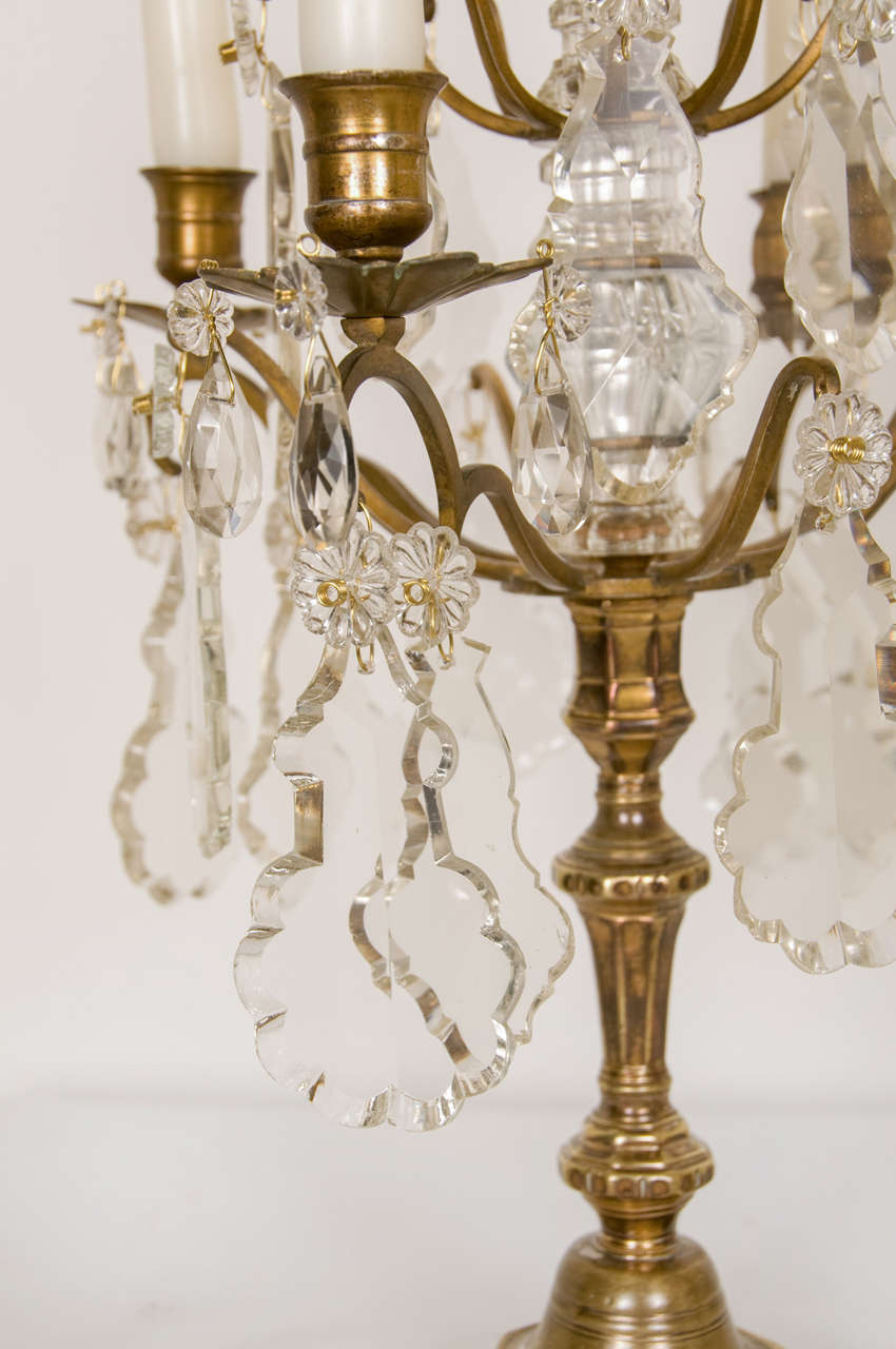 French 19th Century Louis XV Style Pair of Candelabra