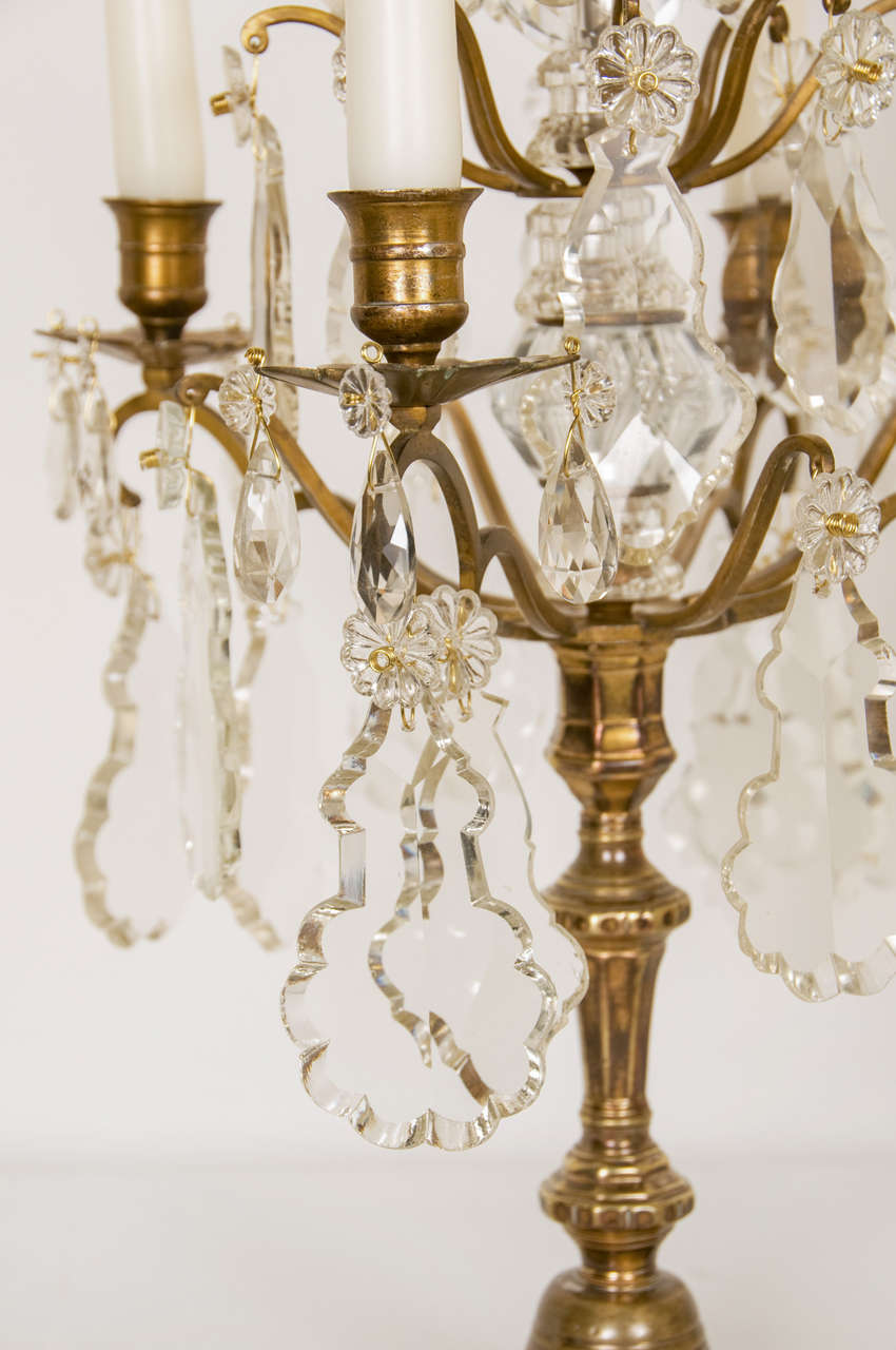 19th Century Louis XV Style Pair of Candelabra 4