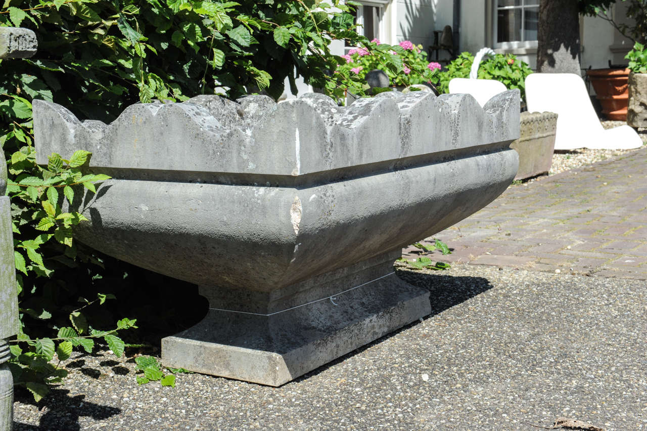 Early 20th Century French Neoclassical Planter 4